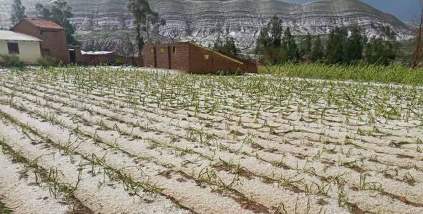 Vientos huracanados afectan a 13 municipios de Cochabamba y autoridades advierten riesgos