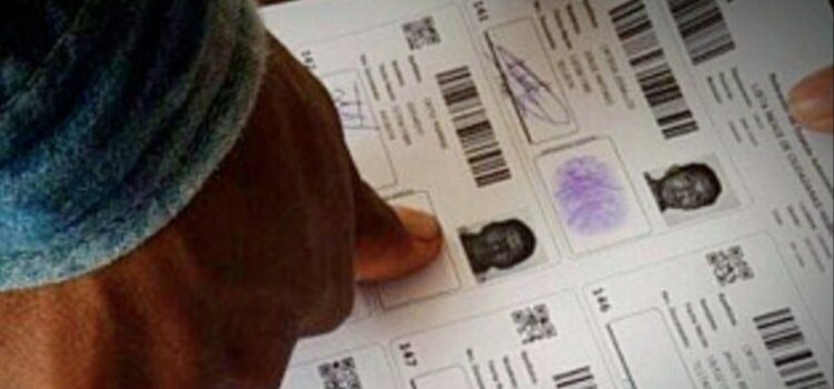 Tribunal Supremo Electoral impulsa 181 partidos para elecciones subnacionales de marzo