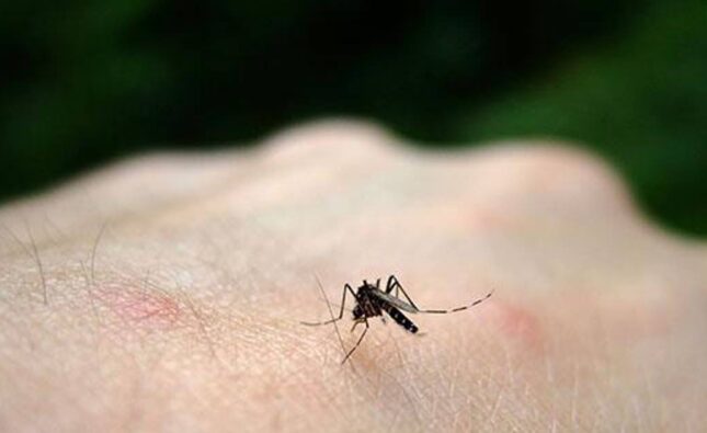 Santa Cruz investiga cuarto posible deceso por chikungunya en 2024