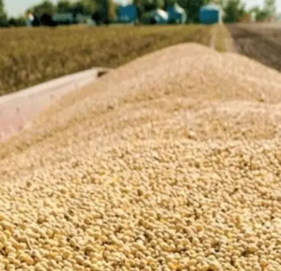 Gobierno aprueba arancel cero para importación de soya hasta diciembre 2024