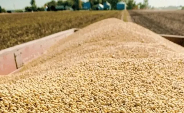 Gobierno aprueba arancel cero para importación de soya hasta diciembre 2024