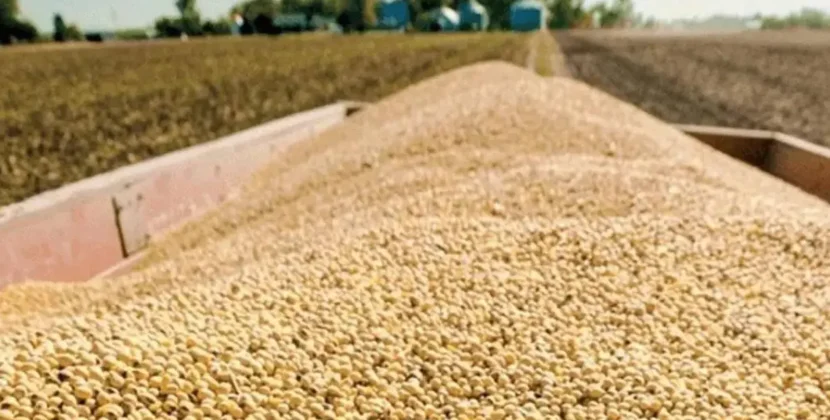 Gobierno aprueba arancel cero para importación de soya hasta diciembre 2024