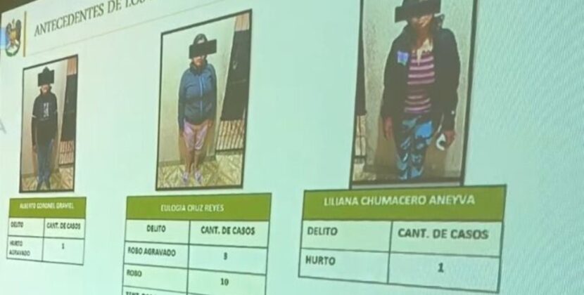 Policía de Santa Cruz detiene a ladrona con 35 antecedentes tras ataque con espuma