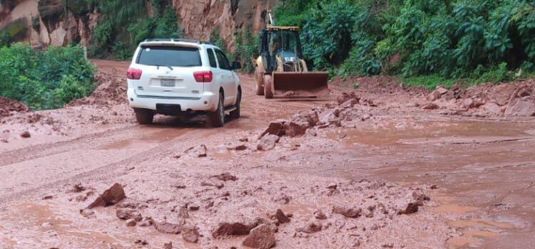 ABC retoma competencia del tramo Río Isiri La Central sub tramo 2 en Bolivia