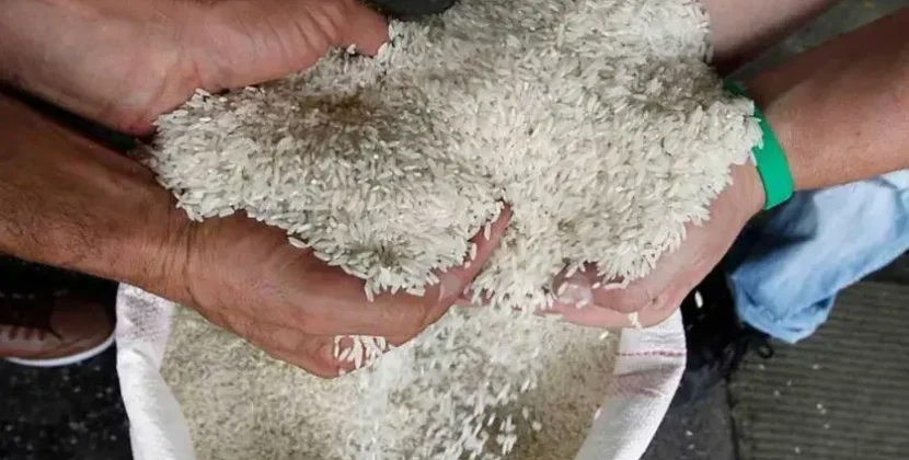 Arroceros bolivianos denuncian contrabando y piden al Gobierno revisar importaciones