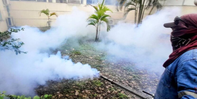 Sedes de Santa Cruz confirma 37 internados por chikungunya y alerta sobre pico en marzo