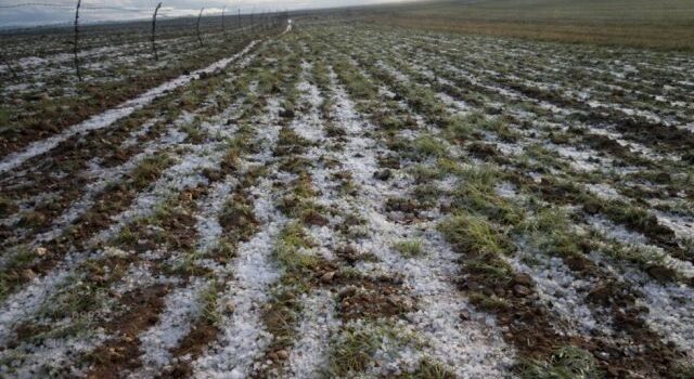 Autoridades de Yunchará cuantifican daños y restablecen vías tras granizada