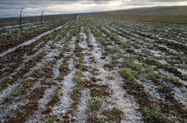 Autoridades de Yunchará cuantifican daños y restablecen vías tras granizada