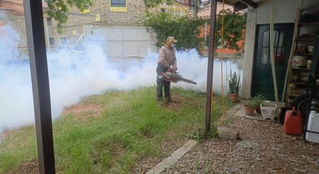 Bolivia y Argentina lanzan plan conjunto contra enfermedades tropicales en la región