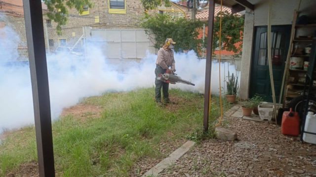 Bolivia y Argentina lanzan plan conjunto contra enfermedades tropicales en la región