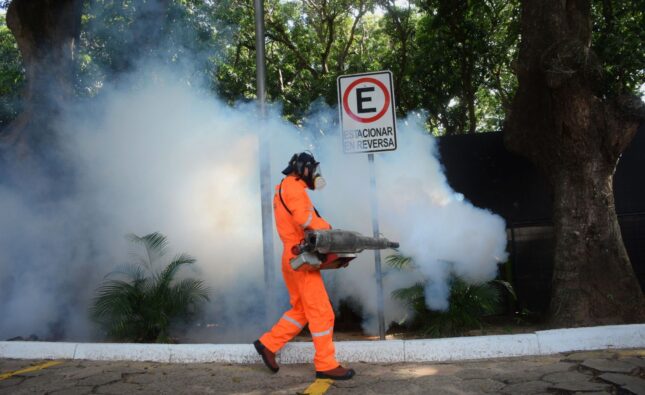 Tarija confirma 113 contagios de chikungunya y declara emergencia sanitaria