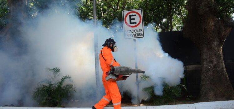 Tarija confirma 113 contagios de chikungunya y declara emergencia sanitaria