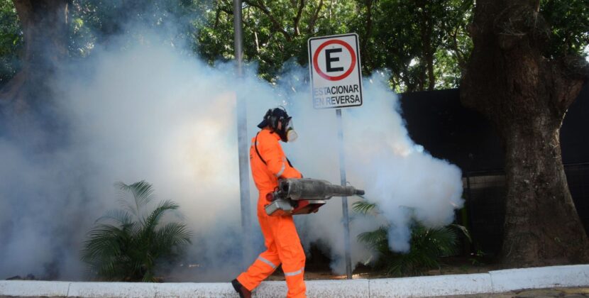 Tarija confirma 113 contagios de chikungunya y declara emergencia sanitaria