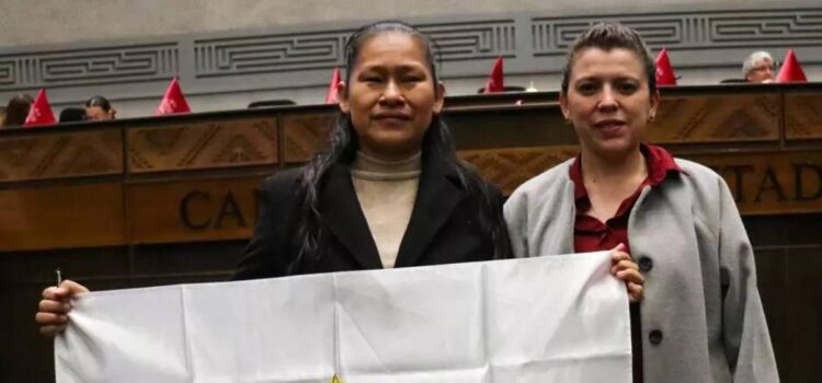 Aida Luz Tuchani jura como primera diputada con discapacidad visual en Bolivia