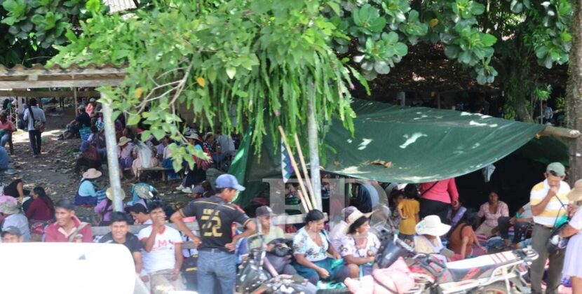 Pobladores del Trópico se movilizan ante temor de captura de Evo Morales