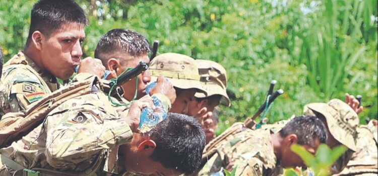 Gobierno inicia erradicación de coca ilegal y anuncia estudio de consumo en Bolivia