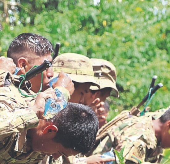 Gobierno inicia erradicación de coca ilegal y anuncia nuevo estudio de consumo en Bolivia