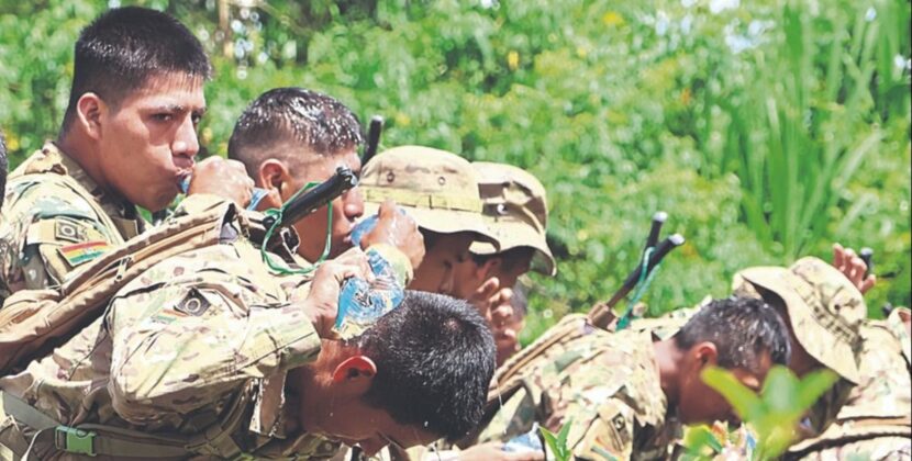 Gobierno inicia erradicación de coca ilegal y anuncia nuevo estudio de consumo en Bolivia