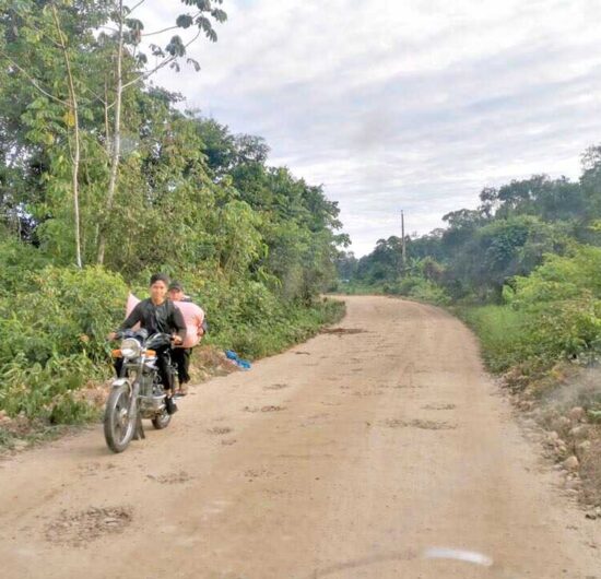 Yuquis y Yuracarés eligen asambleístas con norma propia en Bolivia