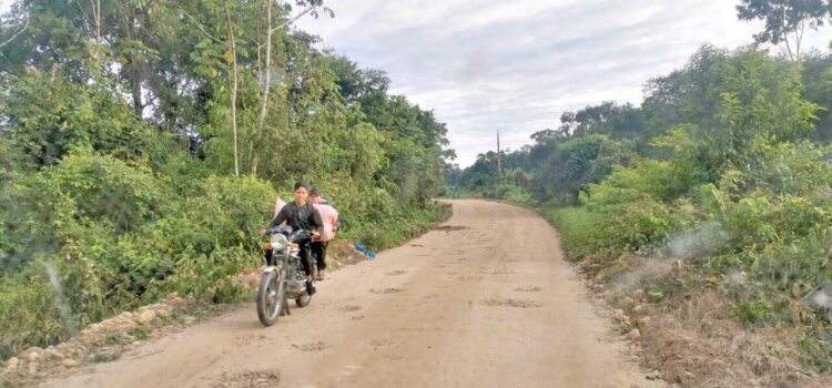 Yuquis y Yuracarés eligen asambleístas con norma propia en Bolivia