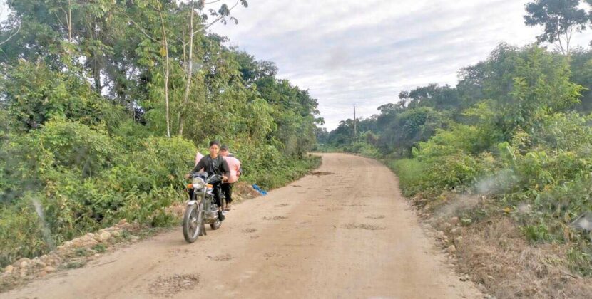 Yuquis y Yuracarés eligen asambleístas con norma propia en Bolivia