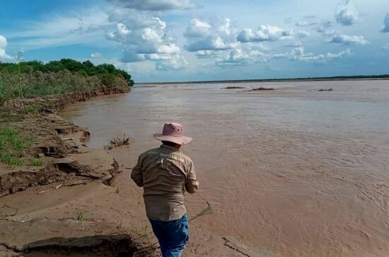 Autoridades de Pilcomayo monitorean el estado de los sábalos para conservar la especie