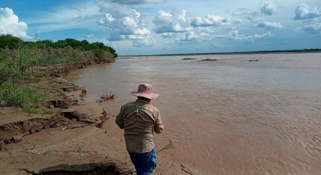 Autoridades de Pilcomayo monitorean el estado de los sábalos para conservar la especie