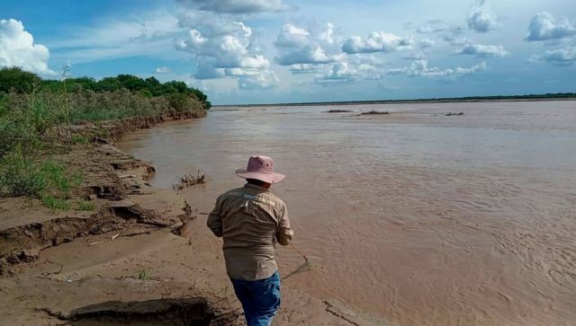 Autoridades de Pilcomayo monitorean el estado de los sábalos para conservar la especie