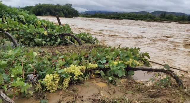Cuatro municipios de Tarija declaran emergencia por lluvias y daños en el agro
