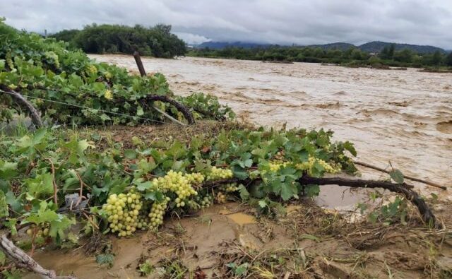 Cuatro municipios de Tarija declaran emergencia por lluvias y daños en el agro