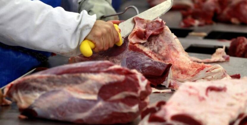 Senasag confirma que Paraguay abre mercado a carne bovina boliviana