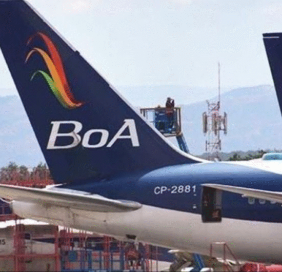Gobierno confirma interés de cuatro aerolíneas extranjeras para operar en Bolivia