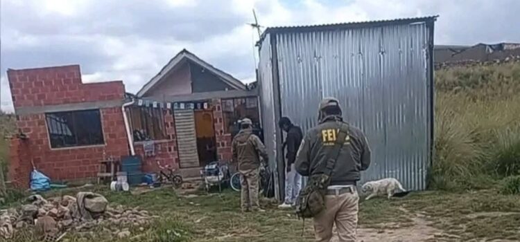 El Alto captura a mujer acusada de envenenar y herir a tres hijos menores
