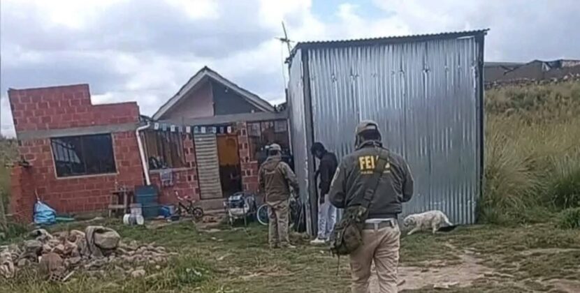 El Alto captura a mujer acusada de envenenar y herir a tres hijos menores