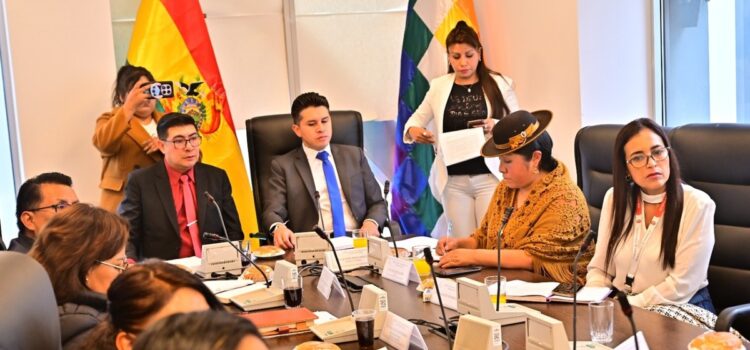 Diputados inicia tratamiento de ley de Acceso a la Información Pública en Bolivia