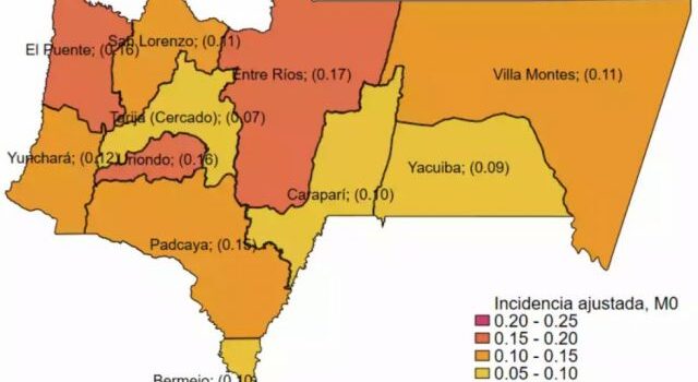 Tarija confirma candidaturas de todos los aspirantes a alcaldes en sus municipios