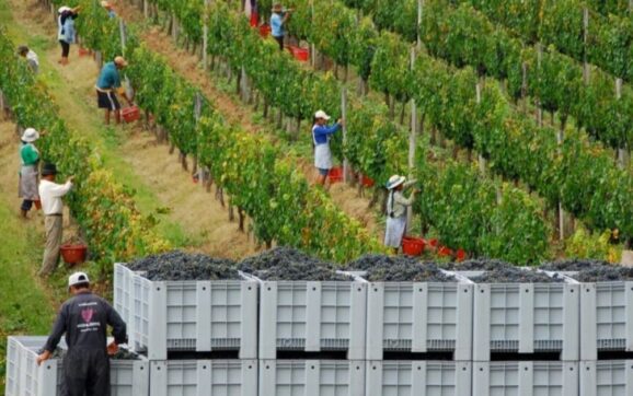 Bolivia impulsa adecuación de más de 2000 leyes al Mercosur antes de 2028