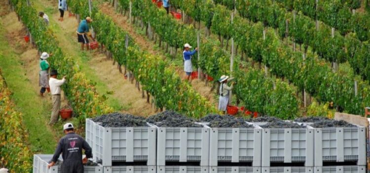 Bolivia impulsa adecuación de más de 2000 leyes al Mercosur antes de 2028