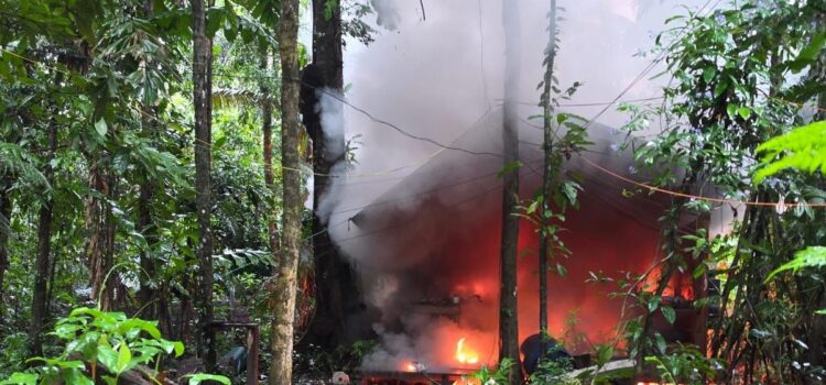 Fuerzas de seguridad destruyen dos laboratorios y secuestran 100 kilos de droga en Chapare