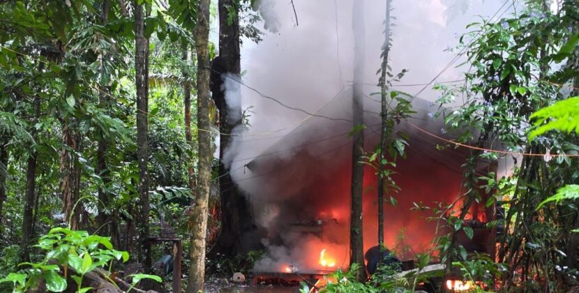Fuerzas de seguridad destruyen dos laboratorios y secuestran 100 kilos de droga en Chapare