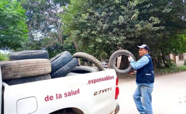 Sedes confirma 240 casos de chikungunya y muerte por hanta virus en Bolivia