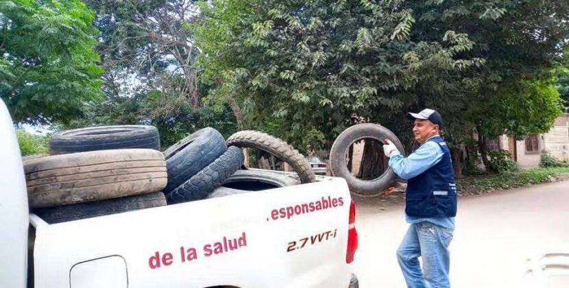 Sedes confirma 240 casos de chikungunya y muerte por hanta virus en Bolivia