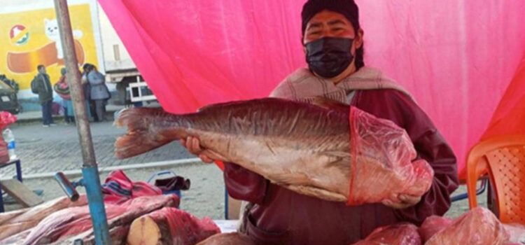 La Paz impulsa venta de pescado y mariscos por Semana Santa
