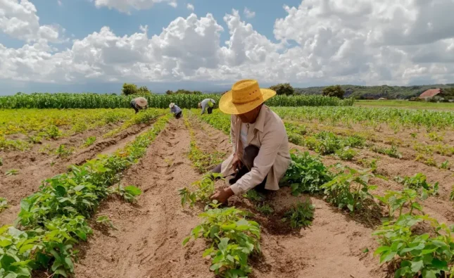 Confeagro pide a presidente promulgar ley para convertir pequeña propiedad