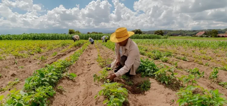 Confeagro pide a presidente promulgar ley para convertir pequeña propiedad