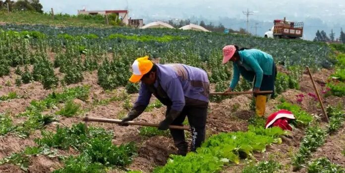 Confederación campesina pide al gobierno no promulgar la Ley 157