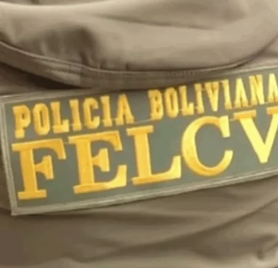 Guardia de seguridad agrede a mujer delivery y es aprehendido tras el ataque