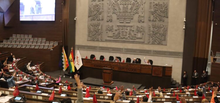 Oposición espera que presidente promulgue leyes que eliminan ITF y reponen IVA