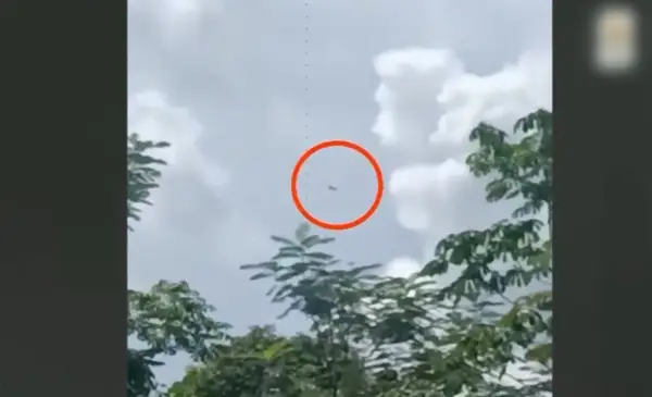 Bomberos confirman muerte de pilotos Moyano y Sardán tras accidente aéreo en zona boscosa