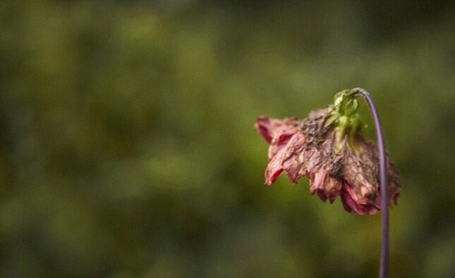 Ministerio de Igualdad confirma asesinato machista en Córdoba tras denuncia reciente de la víctima